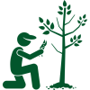 Tree Cuting Tree Cuting